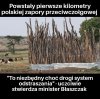 Będzie dobrze 