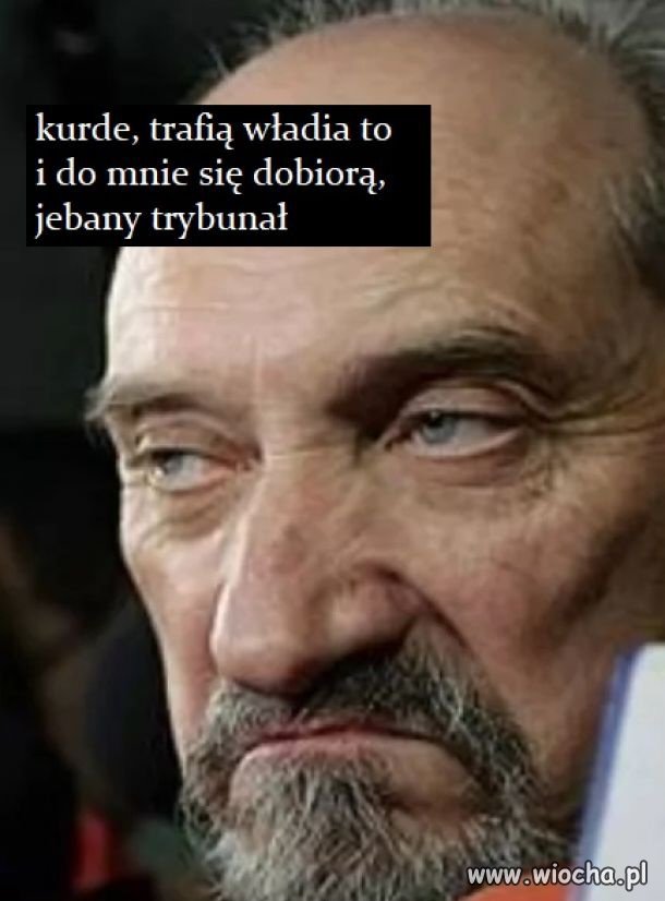 Macior cały w strachu