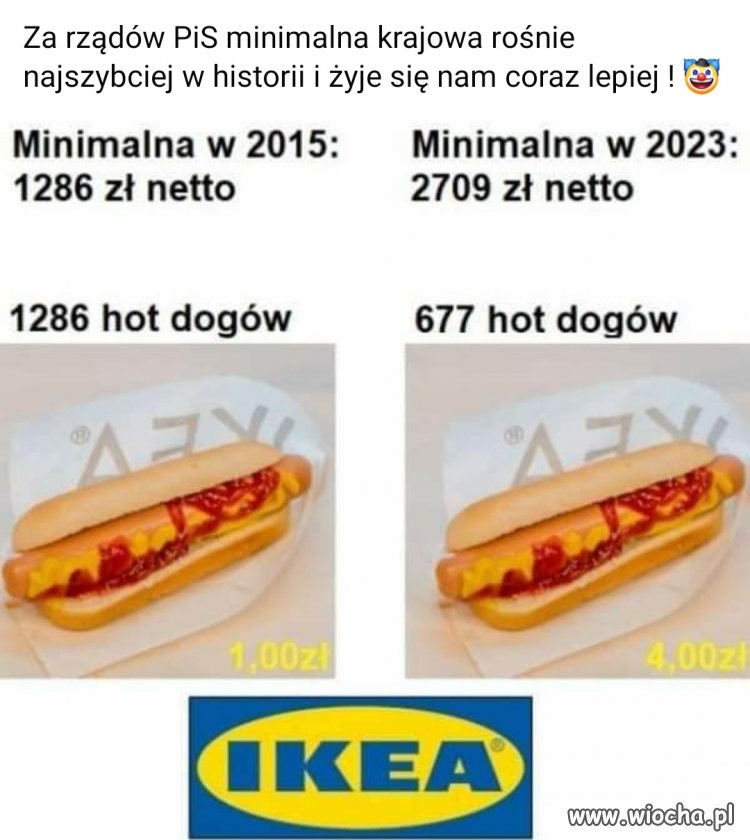 Ikeła jest znienawidzona przez pis