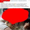 Madkowe "mądrości " skąd tacy ludzie się biorą..
