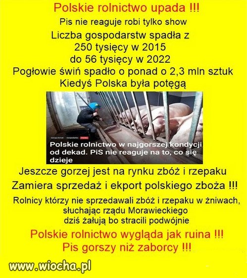 Rolnicy zaufali kłamstwom PiSu, i głosowali na PiS!