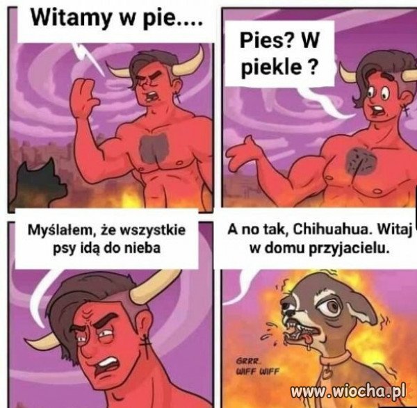 Pieseł admina.