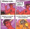 Pieseł admina.