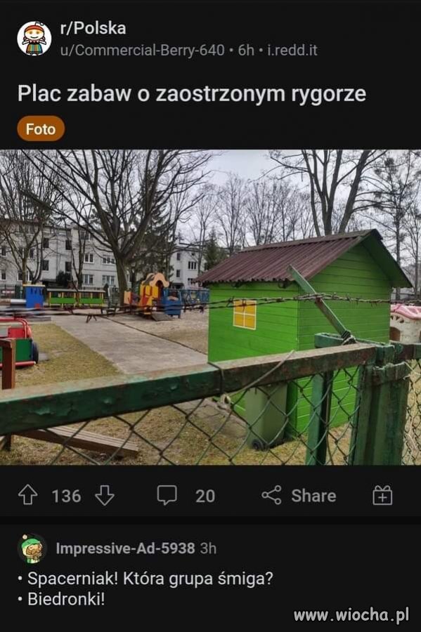 Marzenie głąba czarnka.