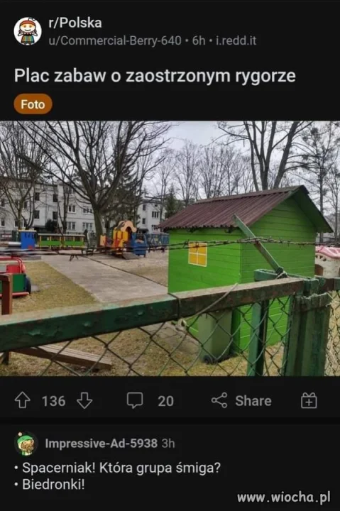 Marzenie głąba czarnka.