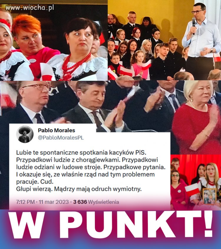 Tępa propaganda dla tępych wyborców 