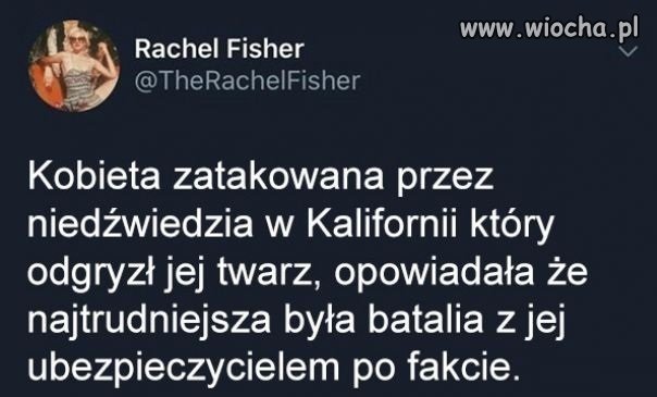 Ubezpieczyciel prawie jak w Polsce