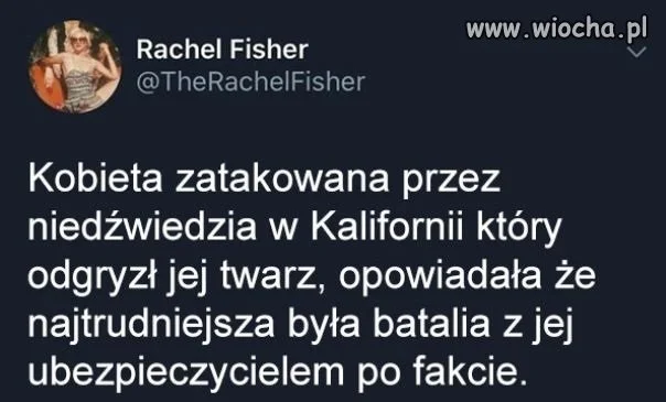 Ubezpieczyciel prawie jak w Polsce