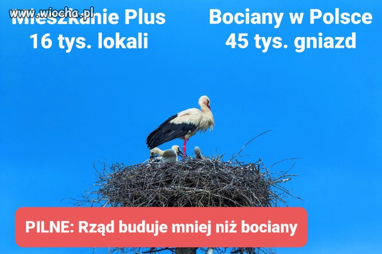 Tanie mieszkanie