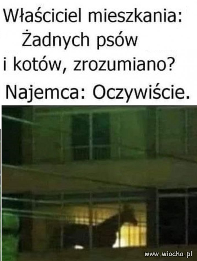 Ja warunków umowy dotrzymuję