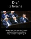 Podłość degeneratów moralnych PiSu, nie zna granic