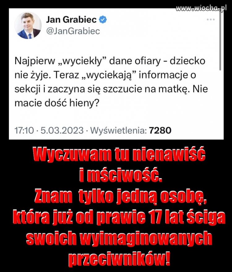 Pisowskiego skoorvvysyństwa ciąg dalszy