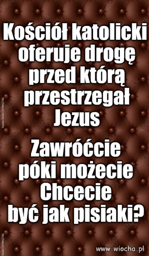 Porady ciotki Włady