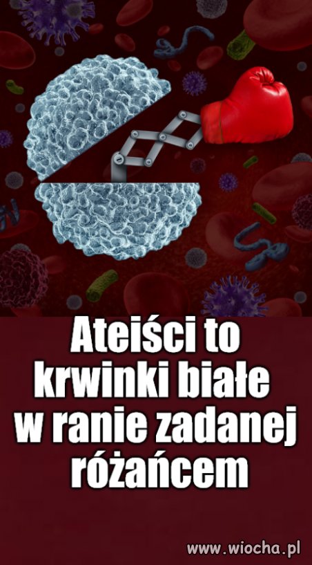 Myślał, myślał i wymyślił ...