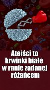 Myślał, myślał i wymyślił ...