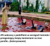 Walka z pedofilią za czasów JPII