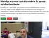 Za co by się pis nie wzięło