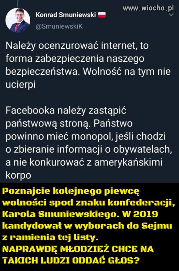 Pomysły Konfederacji