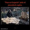  PiS - Nie ma czegoś takiego jak Puszcza Karpacka.