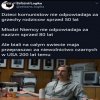 W punkt ! 