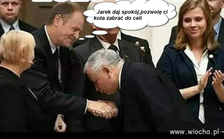 Tusk kot
