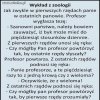 Są plusy i minusy