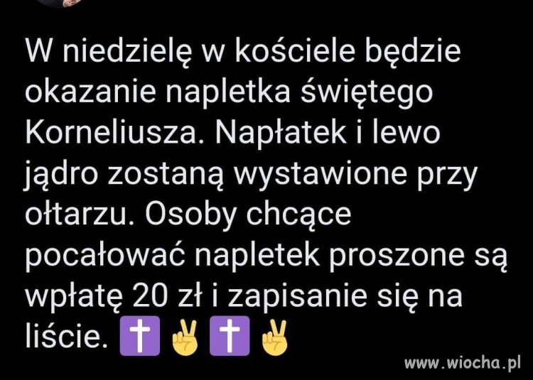 Biznes się kręci 