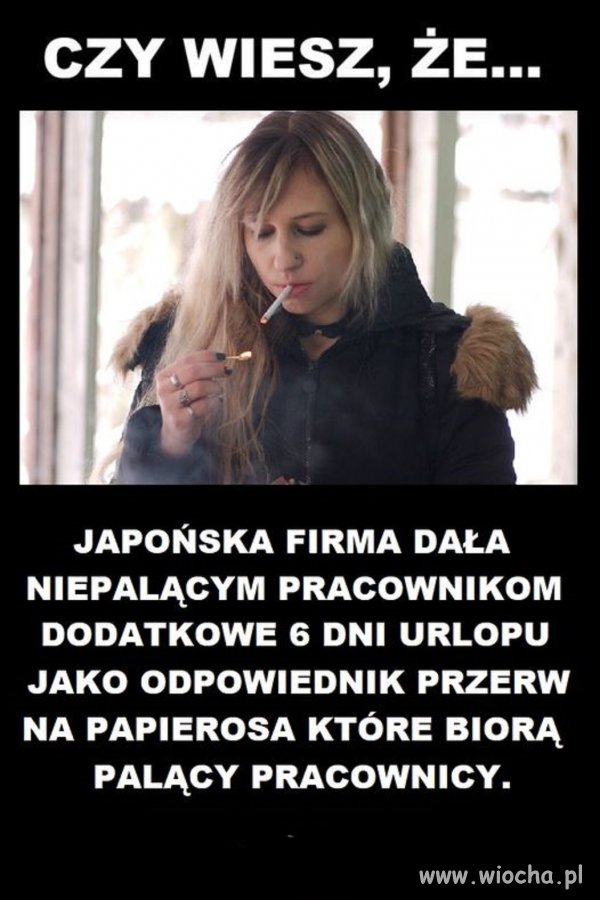 Rozsądne podejście do sprawy