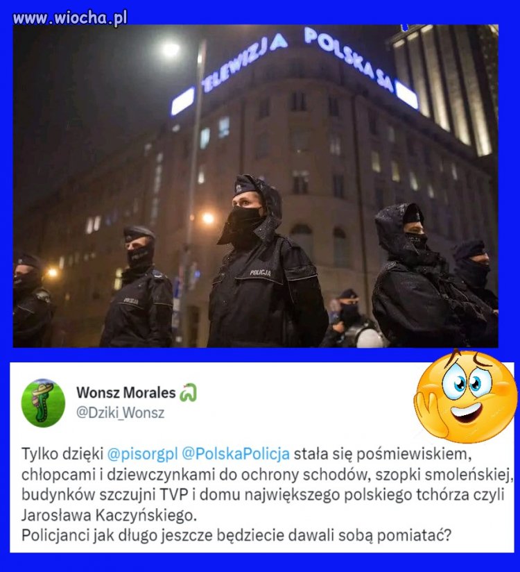 ''Myślisz że mi się podoba... Kuwra, ja mam rodzinę i telewizor na raty!''