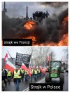 Strajki