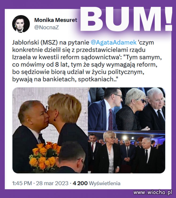I kolejne zaoranie pisowskich idiotów 