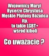 Myślał, myślał i wymyślił ...