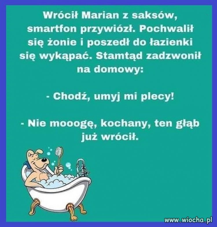 Marian rogacz