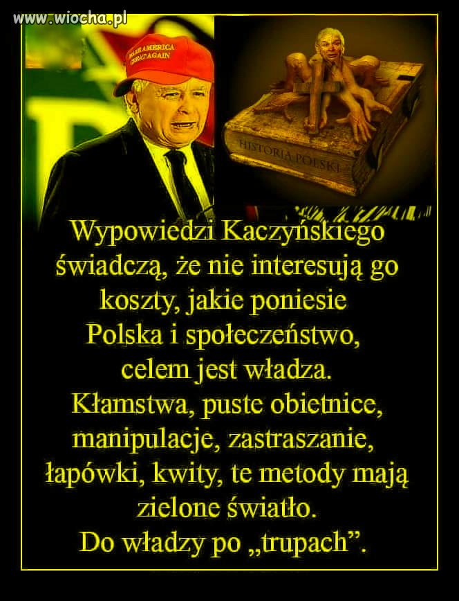Kaczyński w pigułce