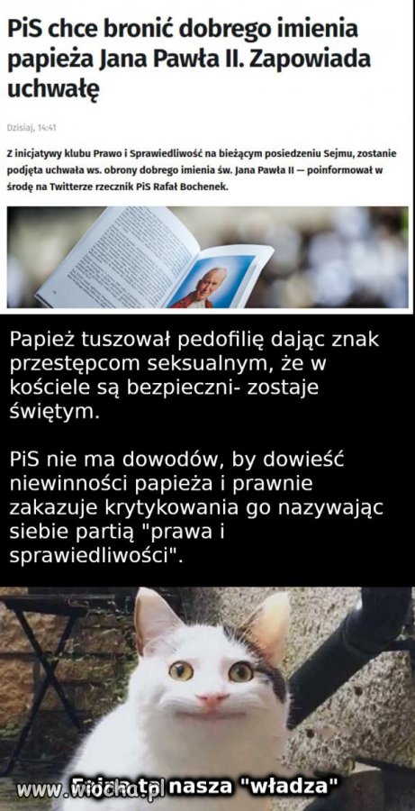 PiS w pigułce 