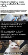 PiS w pigułce 