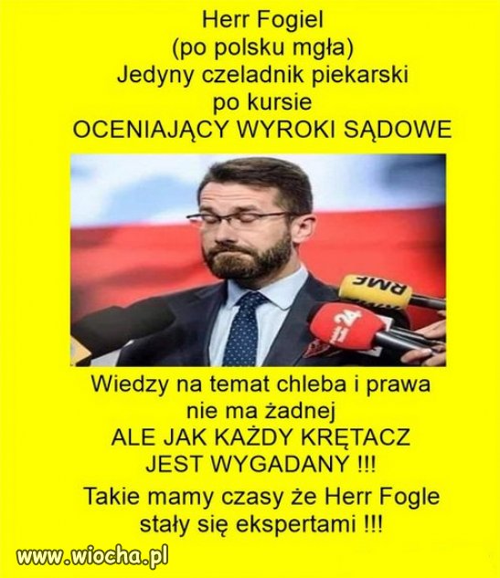 Im kto głupszy, tym wyższe stanowisko w Cyrku Kaczyńskiego!