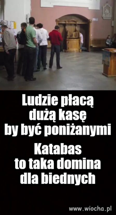 Płazińcem trzeba się wykluć