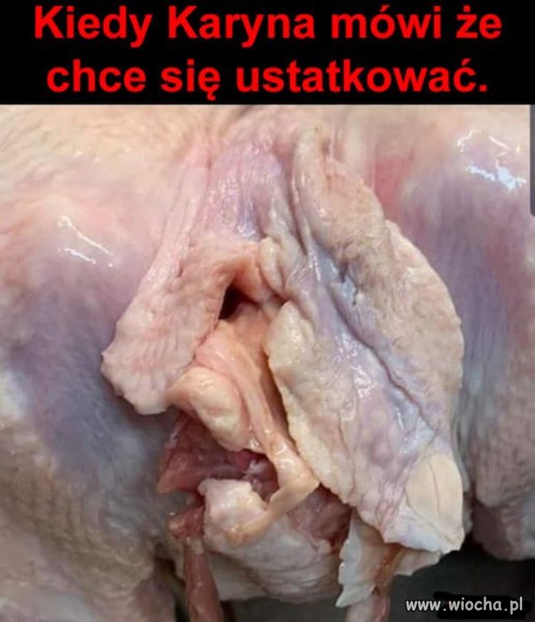 Coś w tym jest