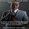 Gdyby facetom jeszcze zależało na tym 