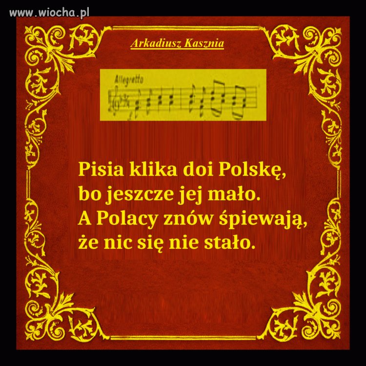 Tak to właśnie wygląda