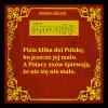 Tak to właśnie wygląda