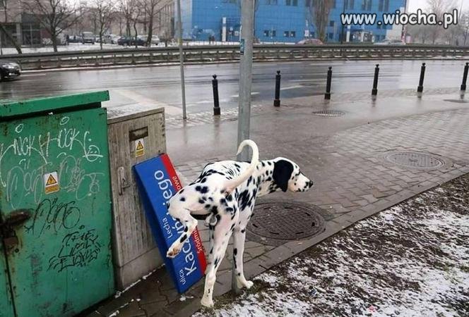Zmiana władzy