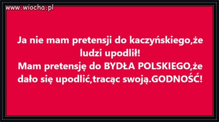 Co fakt to fakt