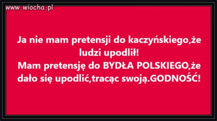 Co fakt to fakt