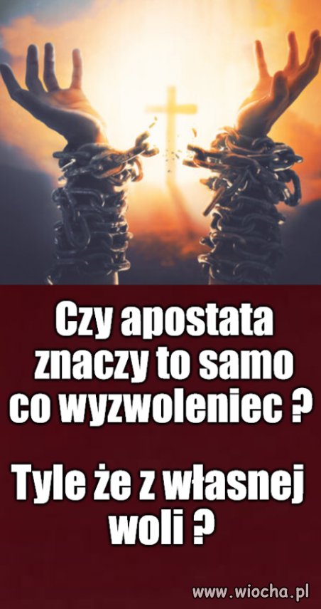 Kolega pytał
