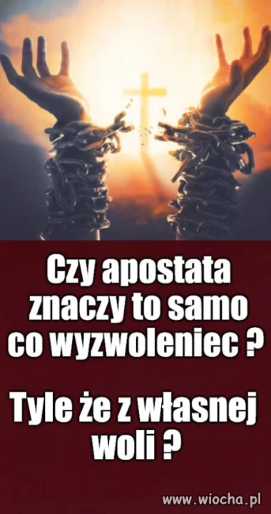 Kolega pytał