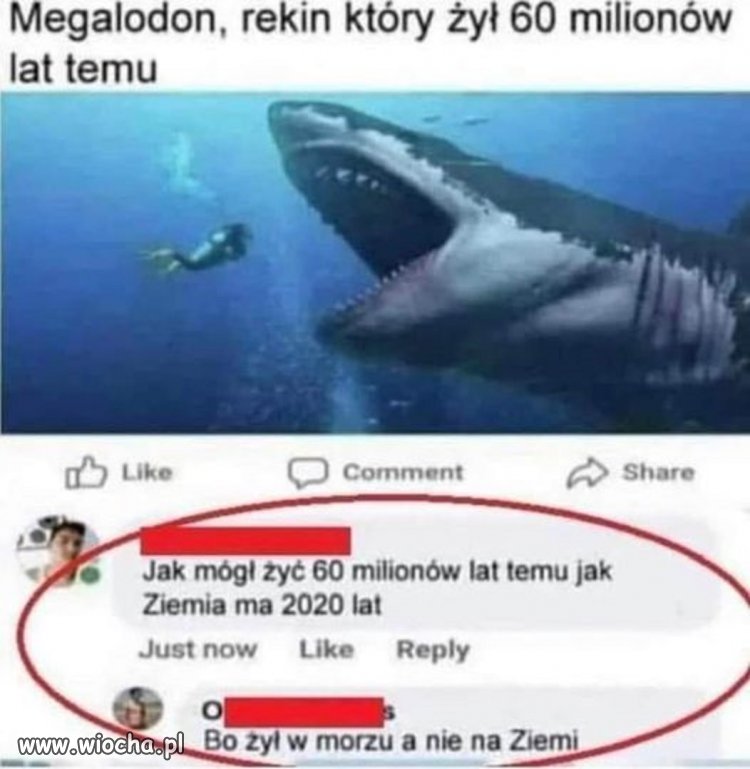 Nawet Edyta tyle nie ma