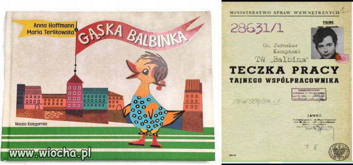 Gąska Balbinka!
