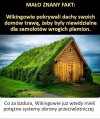 I sprawa wyjaśniona